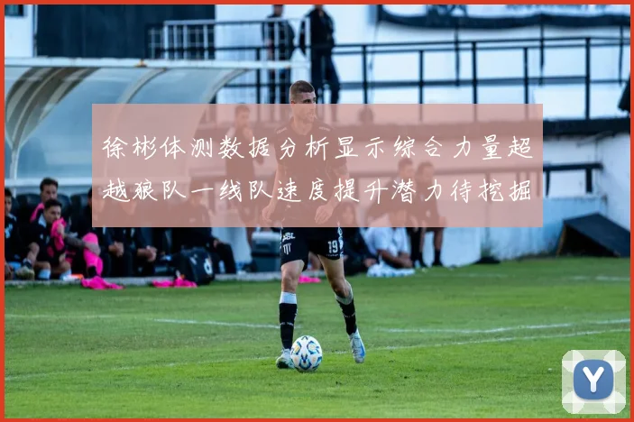 徐彬体测数据分析显示综合力量超越狼队一线队速度提升潜力待挖掘