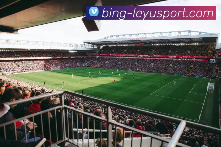 乐鱼体育发展历程